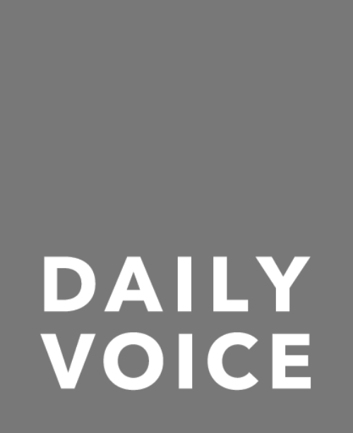 daily voice logo